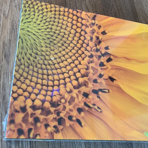 Vibrant Sunflower Pink Sky Puzzle 19”x26” 1000 pieces New Sealed - Picture 14 of 16